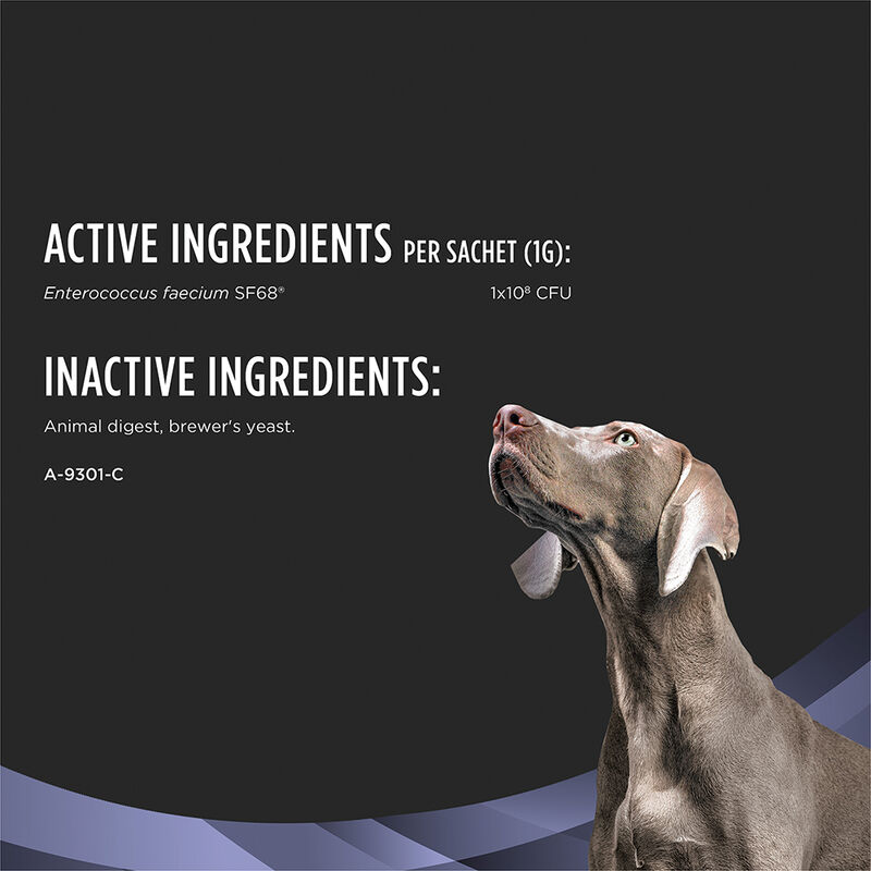Pro Plan, Canine FortiFlora - Probiotic - 30 x 1 g - Dog Supplements image number null
