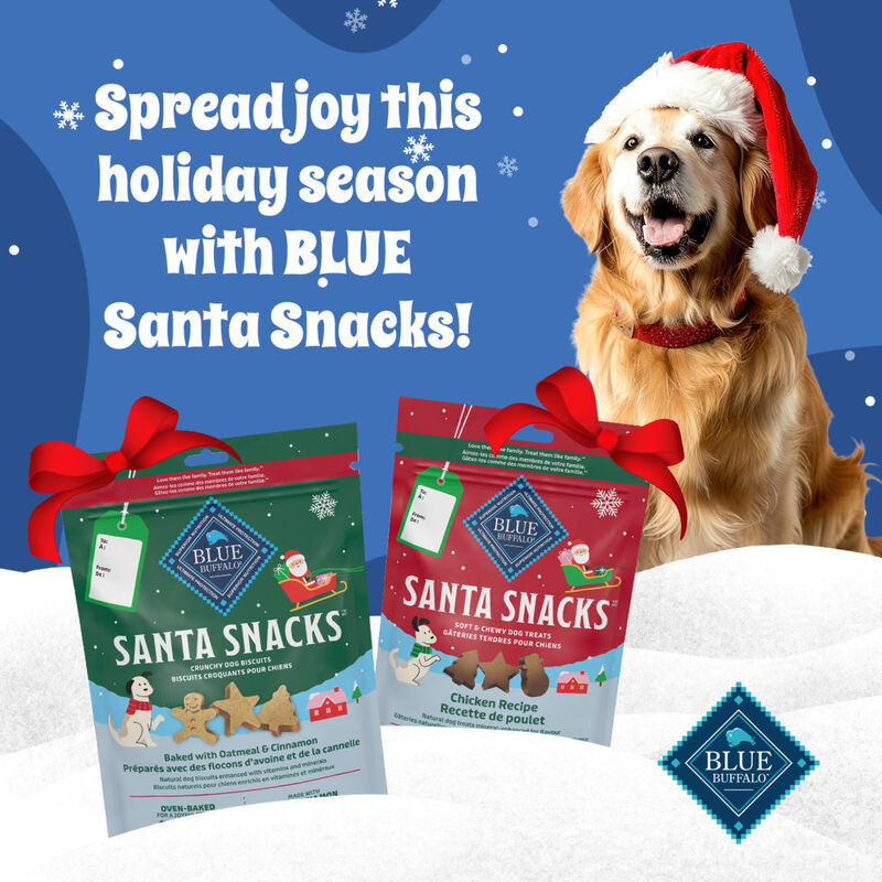 Blue Buffalo, Santa Snacks - 312 g - Dog Treat image number null