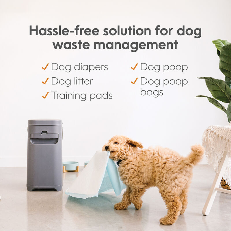 Pet Genie, Dog Waste Disposal System with Jumbo Refill image number null