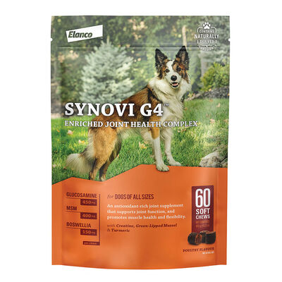 Synovi G4, Joint Support Chew - 60 ct