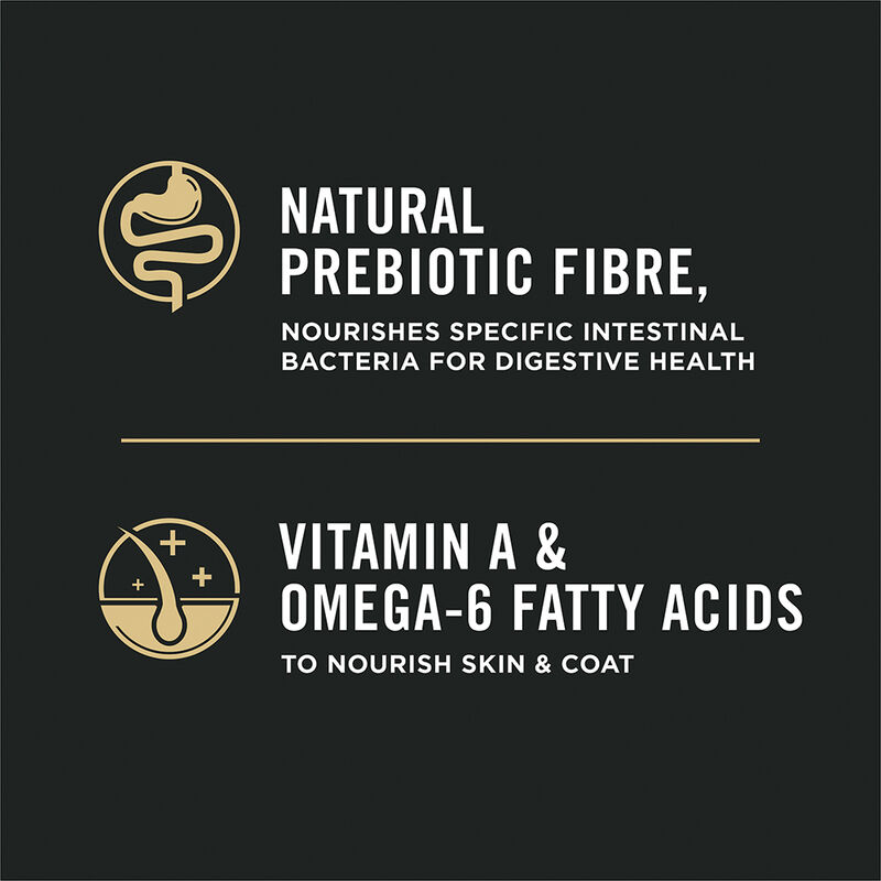 Purina Pro Plan Complete Essentials Chicken & Rice Formula image number null