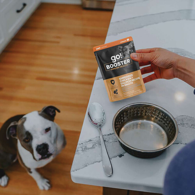 GO! SOLUTIONS,  BOOSTER Immune Health Shredded Chicken + Salmon in broth - 78 g - Wet Dog Food image number null