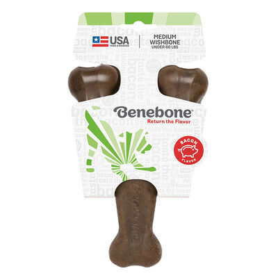 BeneBone, Wishbone - Bacon
