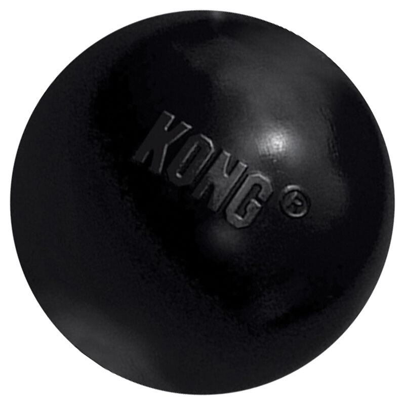 KONG, Extreme Ball - Toss Dog Toy image number null