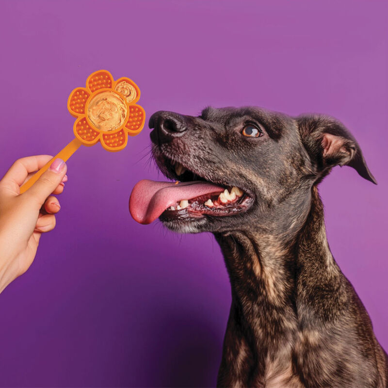 Spunky Pup, Lick-Pops Smiley Flower image number null