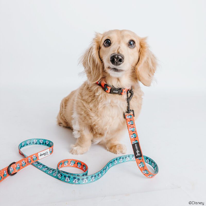 Sassy Woof, Disney Holiday Walkie Pack image number null