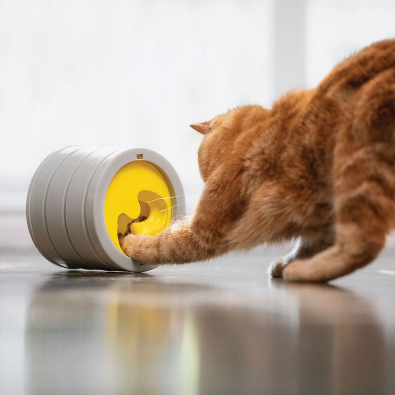 BeOneBreed, IntelliKatt - Interactive Cat Bowl - Cat Bowl image number null