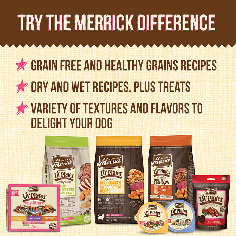 Merrick, Lil'Plates Grain Free Tiny Thanksgiving Day Dinner - 99 g - Wet Dog Food image number null