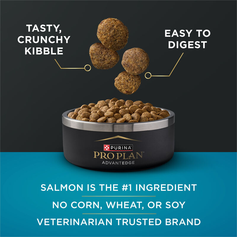 Pro Plan, AdvantEDGE - Digestive Support  Salmon & Oatmeal - Dry Dog Food image number null
