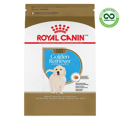 Royal Canin, Breed Health Nutrition Golden Retriever Puppy - Dry Dog Food