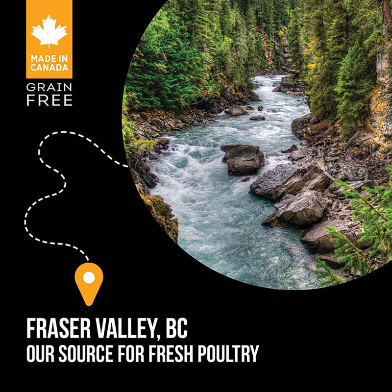 Nutrience, Adult - SubZero Grain Free - Fraser Valley - Dry Dog Food image number null