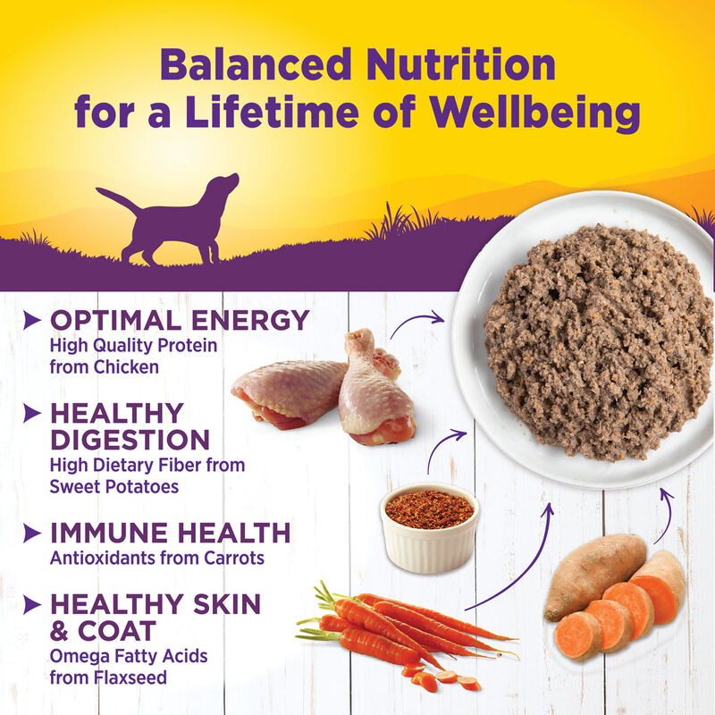 Wellness, Canned Dog Food, Chicken & Sweet Potato - Wet Dog Food image number null
