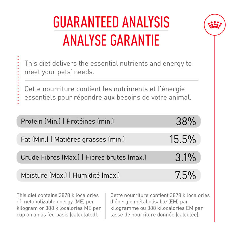Royal Canin, Health Nutrition Fussy Appetite - Dry Cat Food image number null