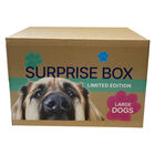 Surprise Box - Dog - Large image number null