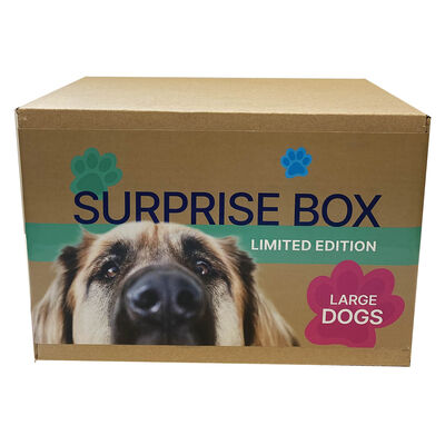 Surprise Box - Dog - Large