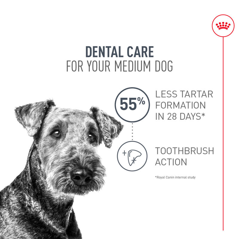 Royal Canin, Canine Care Nutrition Dental Care Adult Medium - Dry Dog Food image number null