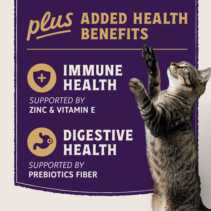 Natural Balance, Ultra Protein Plus - Immune & Digestive Health - Chicken & Organ Meats Puree Topper image number null