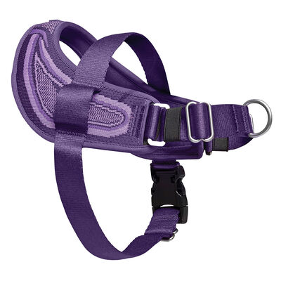 Canada Pooch, Re-Direct Harness - Purple/Lavender