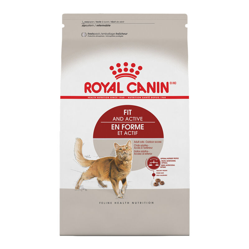 Royal Canin, Feline Health Nutrition Fit And Active Dry Adult - Dry Cat Food image number null