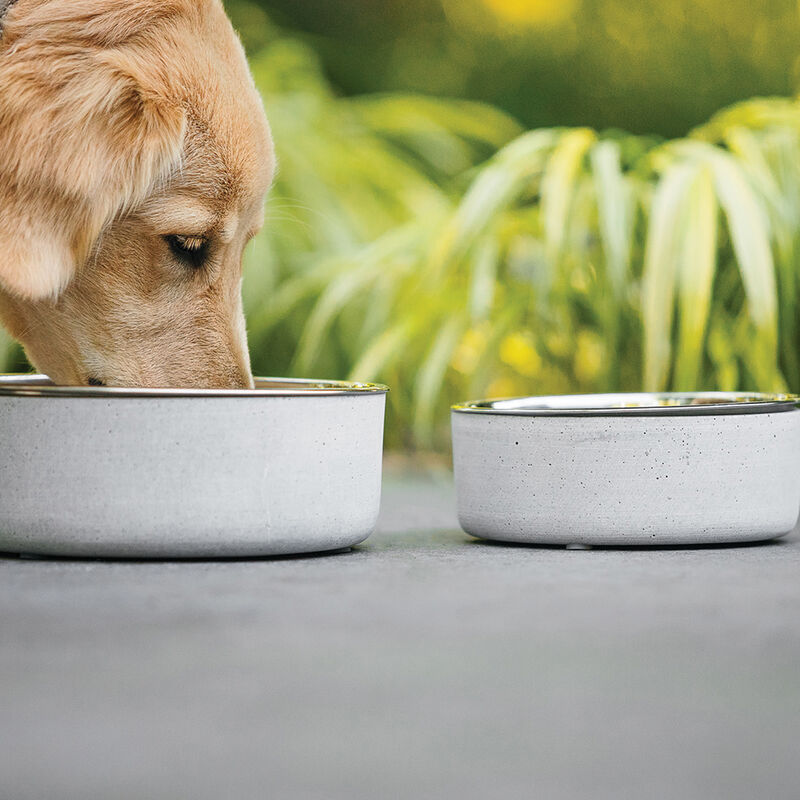BeOneBreed, Concrete Bowl - Dog Bowl image number null