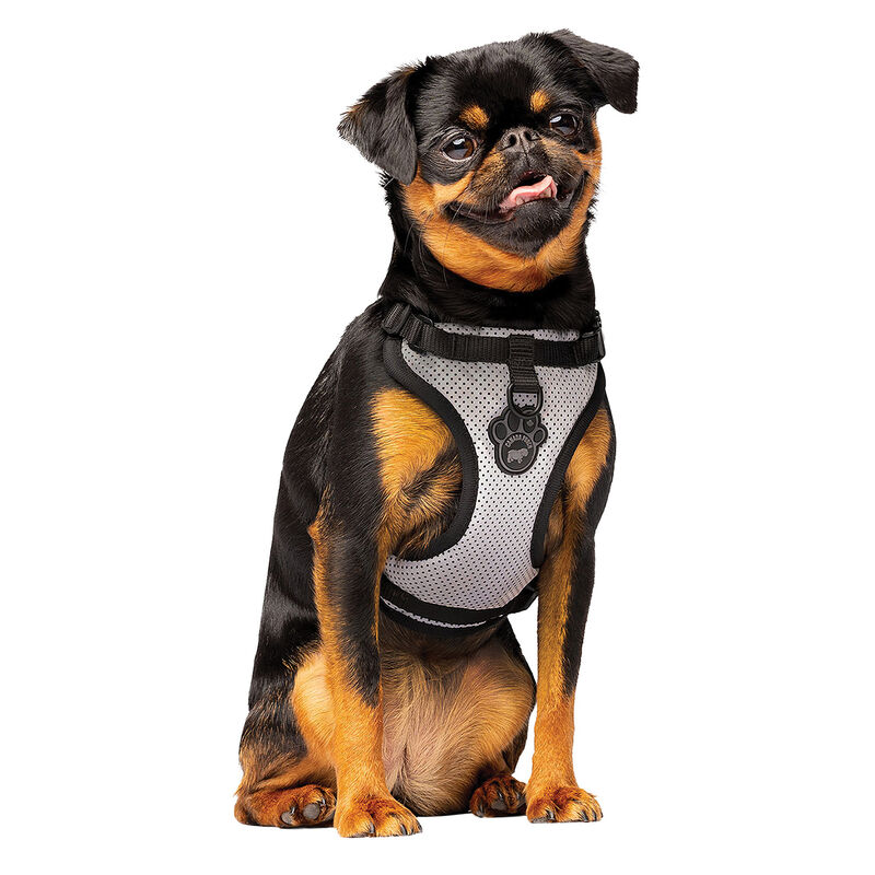 Canada Pooch, Everything Harness - Reflective Mesh - Dog Harness image number null