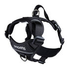 RC Pets, Harness - Momentum - Black - Dog Harness image number null