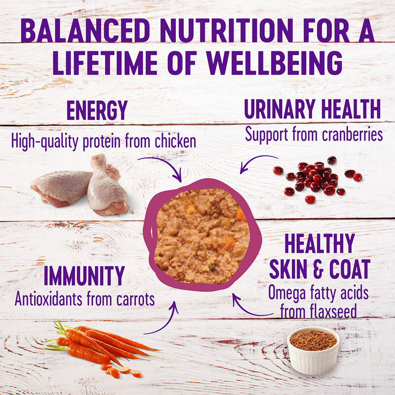 Wellness, Canned Cat Food, Complete Health, Chicken & Lobster - Wet Cat Food image number null