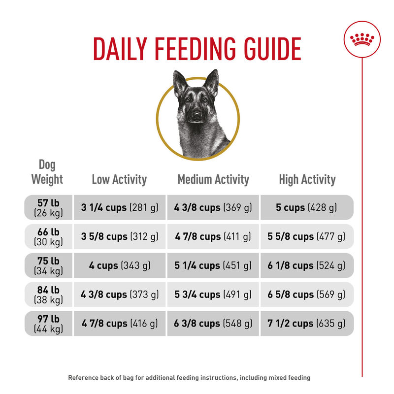 Royal Canin, Breed Health Nutrition German Shepherd Adult - Dry Dog Food image number null