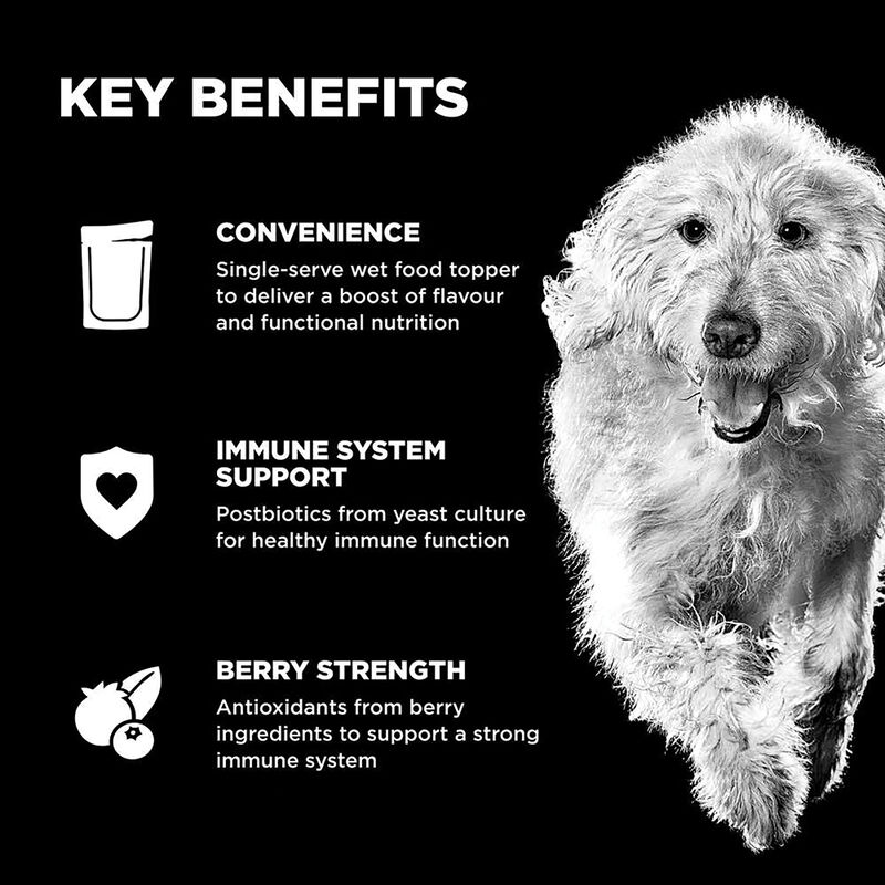 GO! SOLUTIONS,  BOOSTER Immune Health Minced Chicken with gravy - 78 g - Wet Dog Food image number null