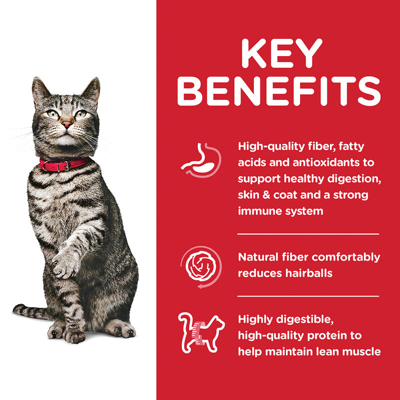 Science Diet, Adult Urinary & Hairball Control Chicken Recipe Dry Cat Food - Dry Cat Food image number null