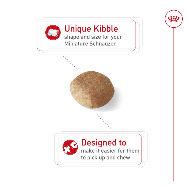 Royal Canin, Breed Health Nutrition Miniature Schnauzer Adult - Dry Dog Food image number null