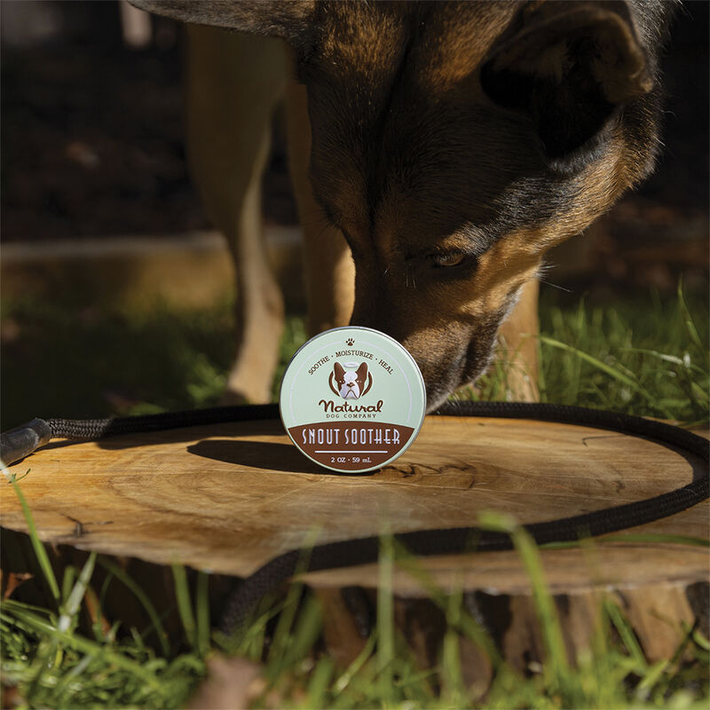 Natural Dog Company, Snout Soother Balm - 2 oz image number null