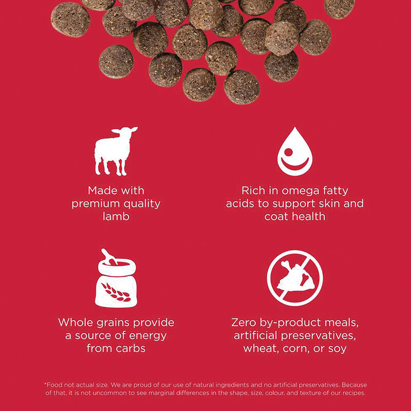 GO! SOLUTIONS SKIN + COAT CARE Lamb Recipe for dogs image number null