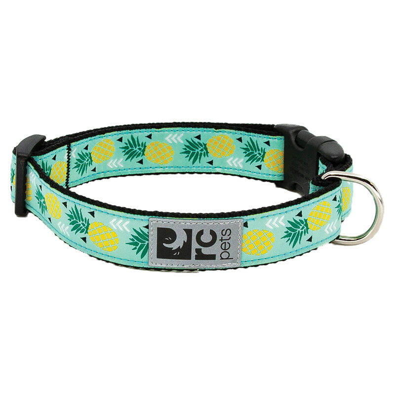 RC Pets, Clip Collar - Pineapple Parade - 1" Width - Dog Collar image number null