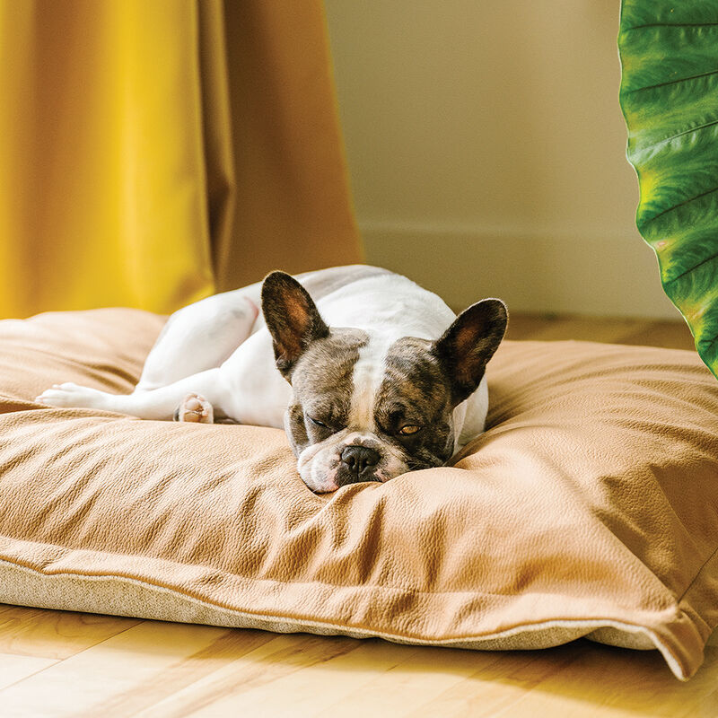 BeOneBreed, Cloud Pillow - Beige Faux Leather image number null