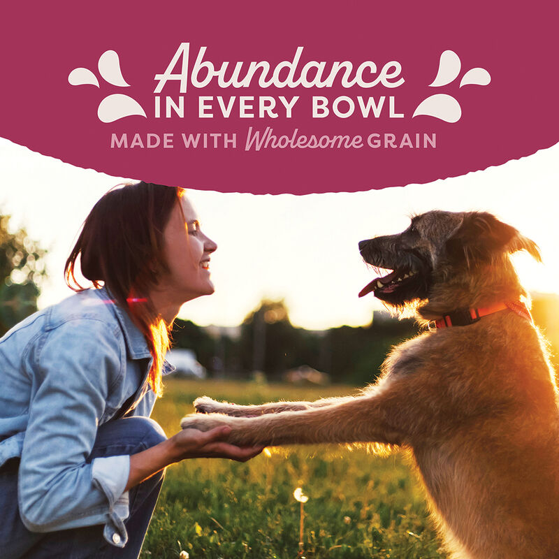 Natural Balance, Can, Adult - Fat Dog - Chicken & Salmon - 368 g - Wet Dog Food image number null