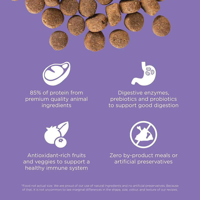 GO! SOLUTIONS CARNIVORE Grain Free Chicken, Turkey + Duck Senior Recipe for dogs image number null