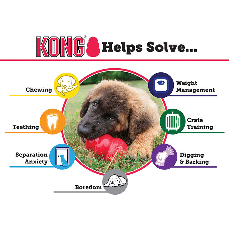 KONG, Classic - Red - Chew Dog Toy image number null