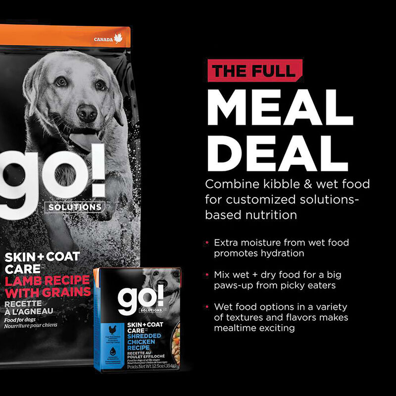GO! SOLUTIONS SKIN + COAT CARE Lamb Recipe for dogs image number null