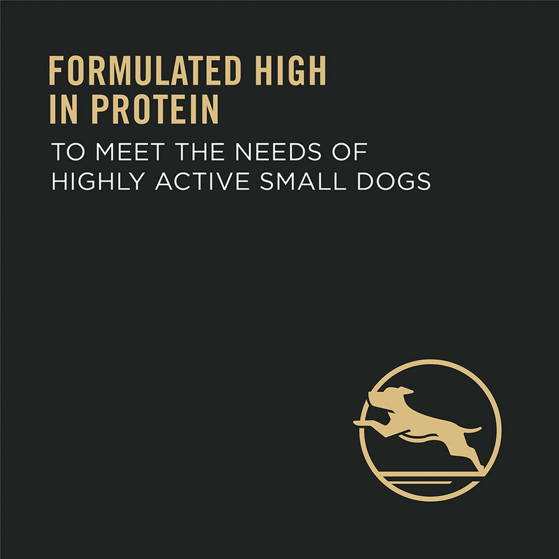 Purina Pro Plan Specialized Small Breed Adult, Chicken & Rice Dry Dog Food 8.16kg image number null