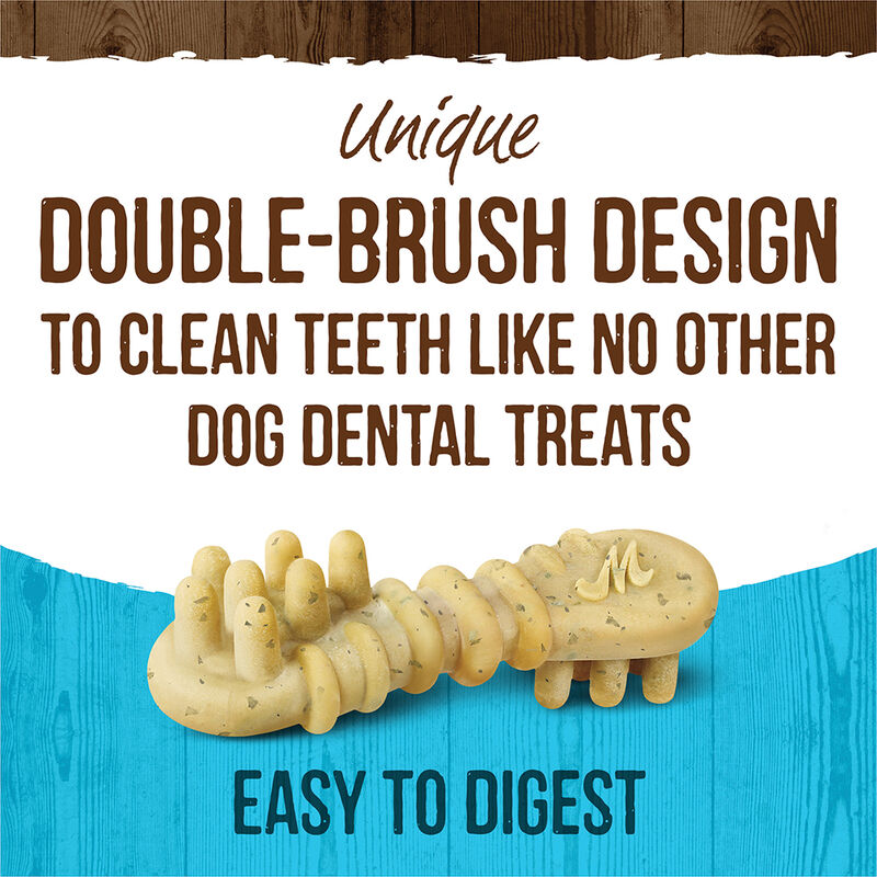 Merrick, Fresh Kisses Brush - Mint - Dog Treat image number null