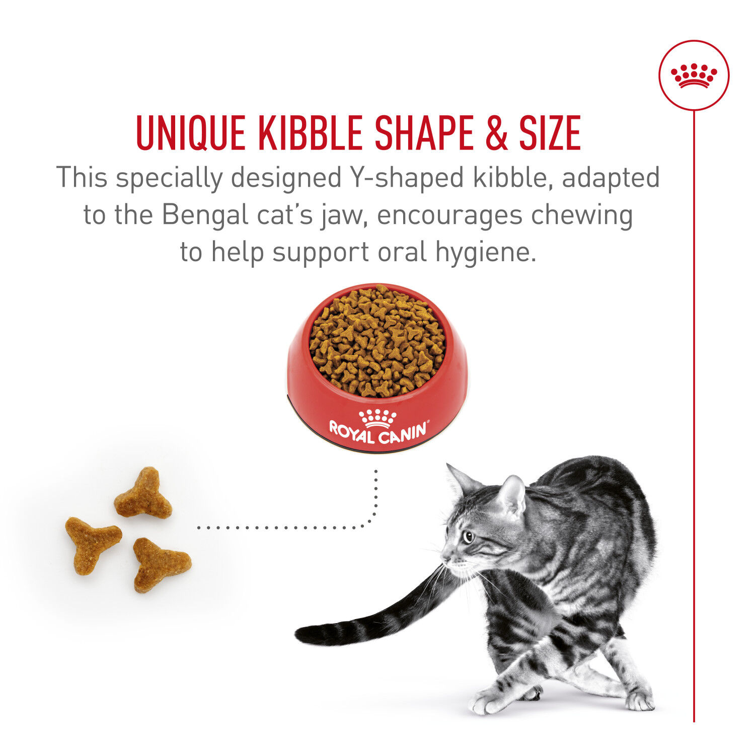 Royal Canin, Feline Breed Health Nutrition Bengal - Dry Cat Food