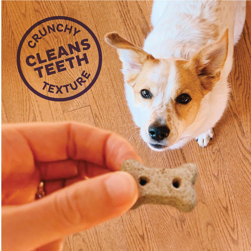 Old Mother Hubbard, Crunchy Functional Hip & Joint - 20 oz image number null