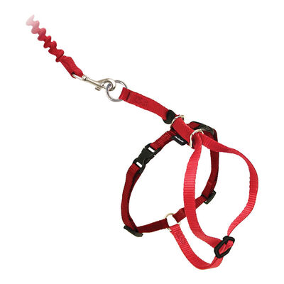 PetSafe, Come With Me Kitty Cat Harness & Bungee Leash - Red