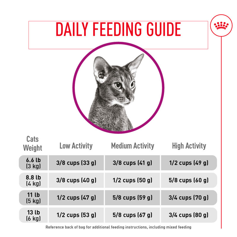 Royal Canin, Health Nutrition Fussy Appetite - Dry Cat Food image number null