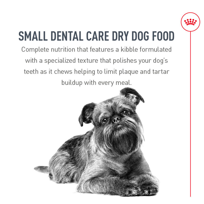Royal Canin, Adult - Dental Care - Small - Dry Dog Food image number null