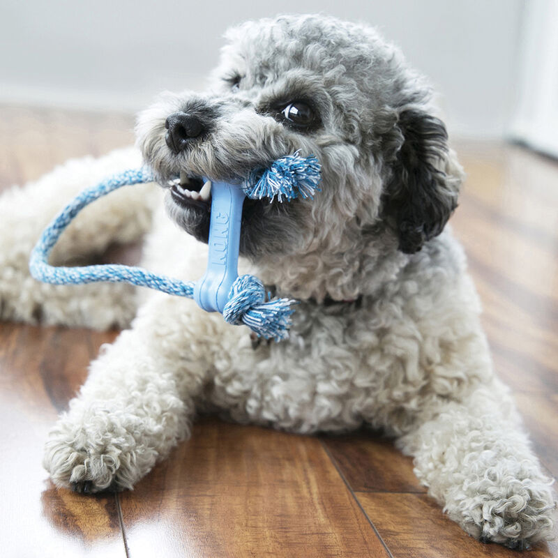 KONG, Puppy Goodie Bone with Rope - X-Small - Chew Dog Toy image number null