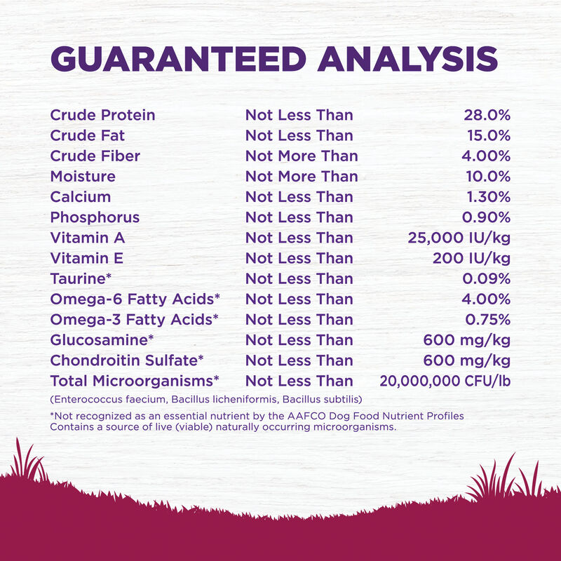 Wellness, Complete Health Small Breed, Turkey & Oatmeal - Dry Dog Food image number null