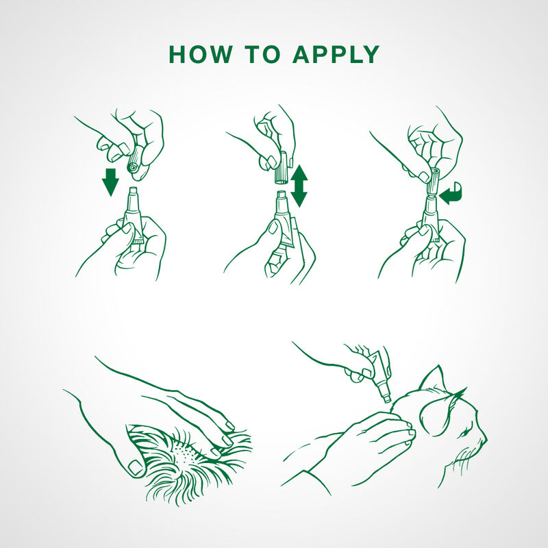 Advantage II, Small Cat Flea Treatment & Protection, 2.3-4kg (2 dose) image number null