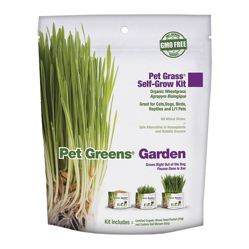 Pet Greens, Wheat Grass Kit - 113 g image number null